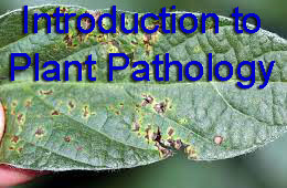 BSc Introduction to Plant Pathology Notes Study Material